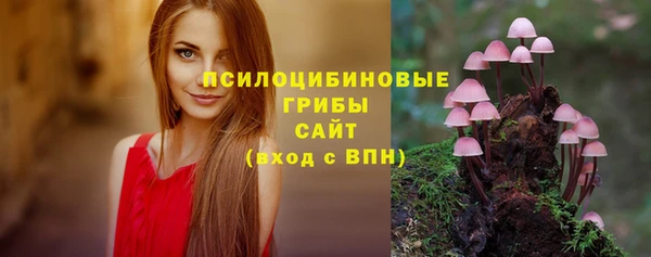 спайс Горно-Алтайск