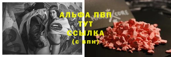 соль ск Горняк