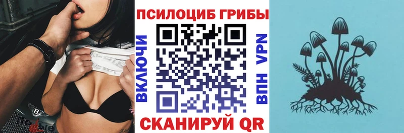 Псилоцибиновые грибы ЛСД  omg сайт  Мурино 
